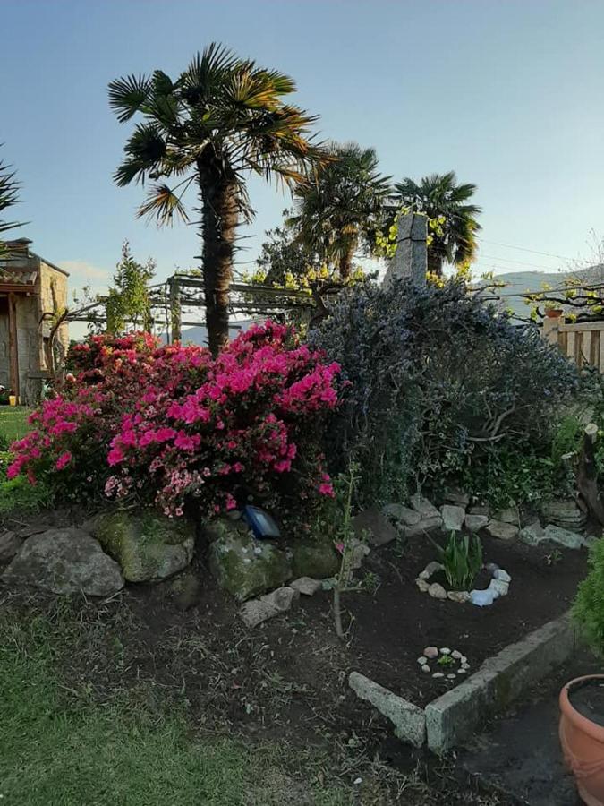 Os Areeiros Turismo Rural & Bodega Santa Cristina De Cobres ภายนอก รูปภาพ